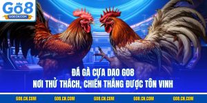 Đá gà cựa dao go8 nơi thử thách chiến thắng được tôn vinh